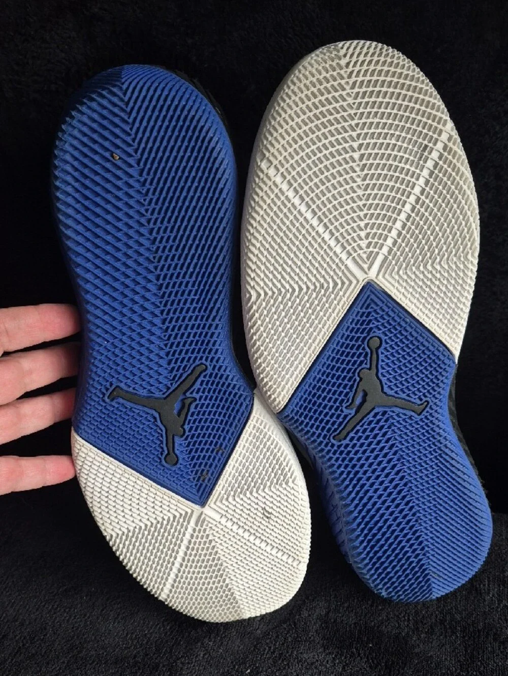 Jordan Box Label - White/Black/Hyper Royal